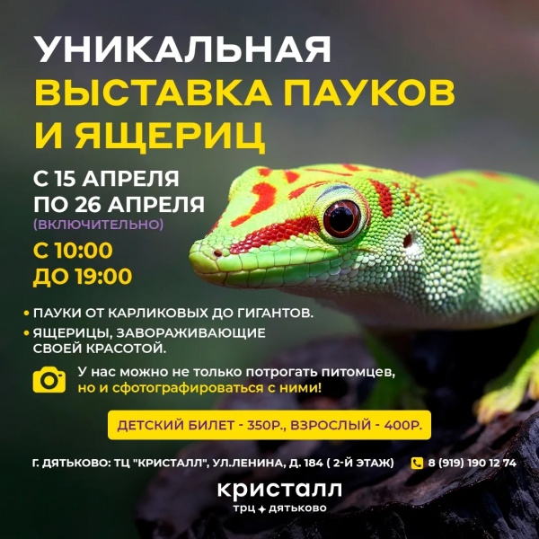 Дятьково, готовься к встрече с удивительным! 